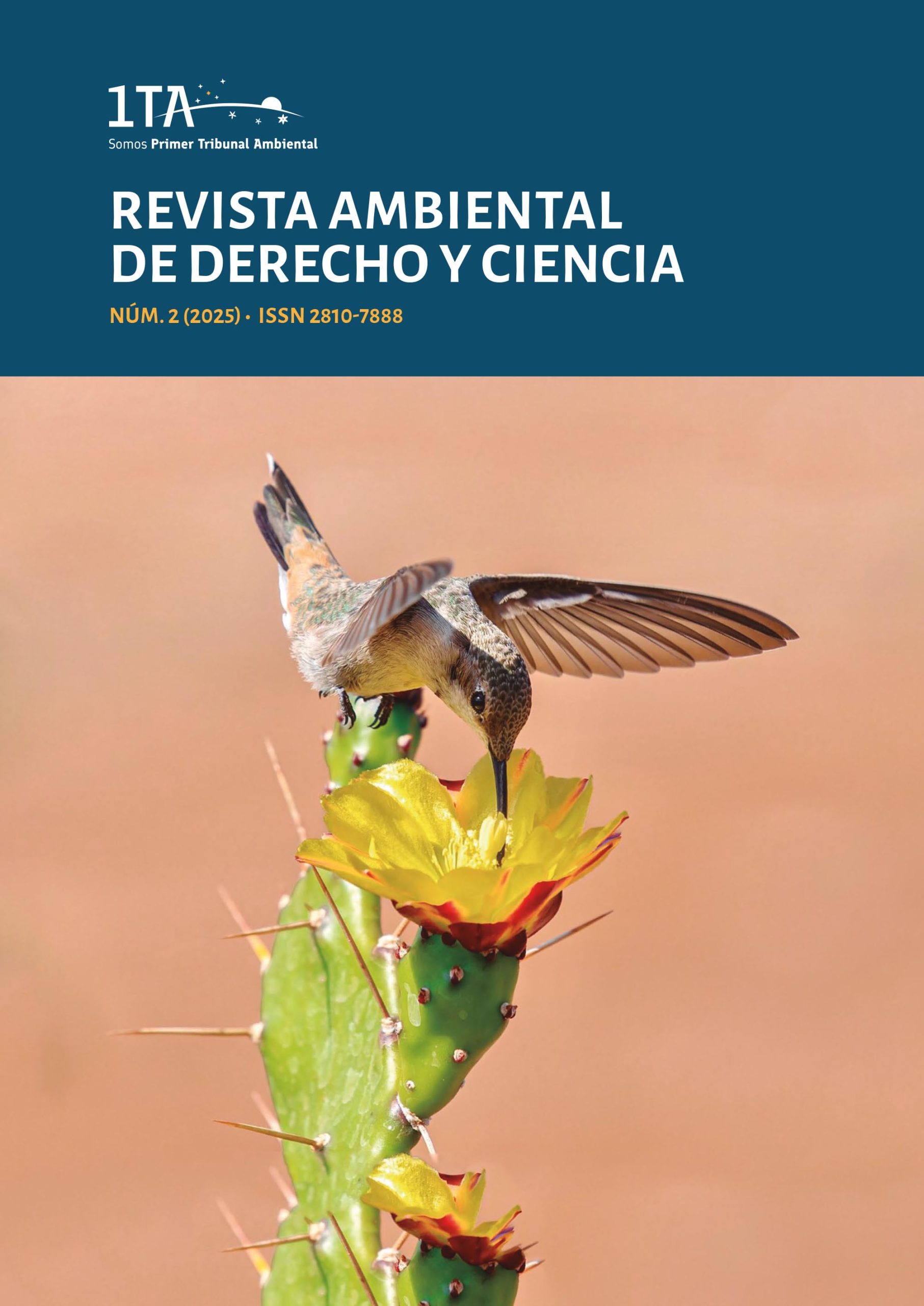 Colibrí alimentándose de una flor de cactus.