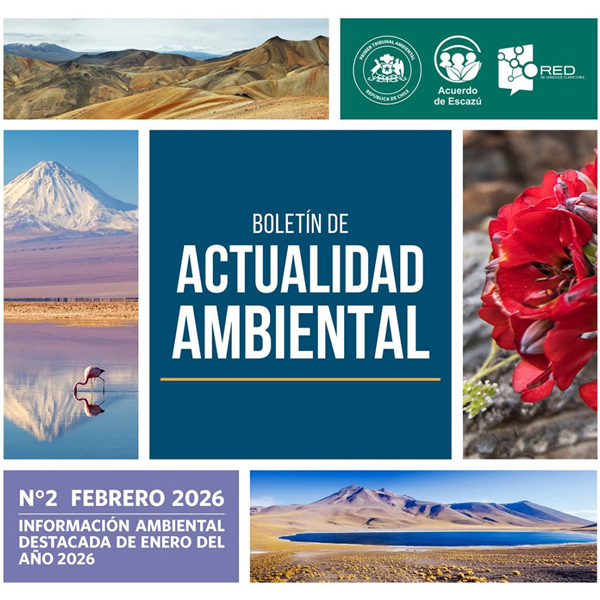 Boletín de Actualidad Ambiental de febrero de 2026 con paisajes y flora.